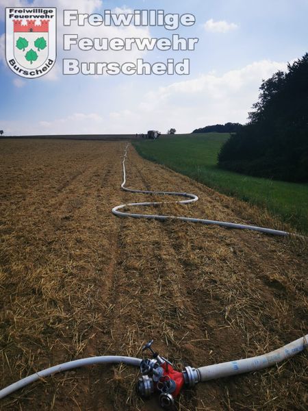 Brandeinsatz an der Autobahn - Einsatzfoto 19.08.2022
