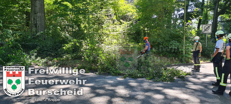 Mehrere Äste versperrten die Fahrbahn